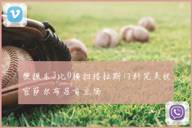 樊振东3比0横扫格拉斯门科完美收官萨尔布吕肯主场